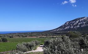 Agriturismo Su Barcu